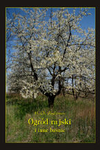 Okładka - Ogród Rajski i inne baśnie - Hans Christian Andersen