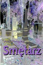 Okładka - Smętarz historia tragiczna niewinnej dziewczyny - Antoni Pietkiewicz