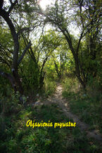 Okładka - Objawienia prywatne - Praca zbiorowa