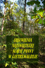 Okładka - Objawienia Najświętszej Maryi Panny W Gietrzwałdzie. Ze źródeł autentycznych - Stanisław Roman, Andrzej Samulowski
