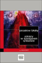 Okładka - Zaklęty w szerszenim gnieździe - Jarosław Błahy
