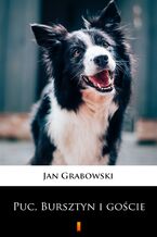 Okładka - Puc, Bursztyn i goście - Jan Grabowski