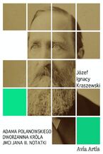 Okładka - Adama Polanowskiego Dworzanina Króla JMci Jana III. notatki - Józef Ignacy Kraszewski