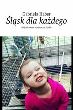 Okładka - Śląsk dla każdego - Gabriela Haber