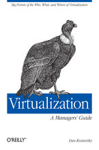 Okładka - Virtualization: A Manager's Guide. Big Picture of the Who, What, and Where of Virtualization - Dan Kusnetzky
