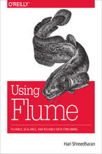 Okładka - Using Flume. Flexible, Scalable, and Reliable Data Streaming - Hari Shreedharan
