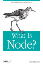 Okładka - What Is Node? - Brett McLaughlin