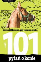 Okładka - 101 pytań o konie, czyli czemu koń rusza, gdy woźnica cmoka - Dorota Kozińska