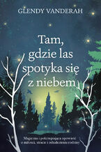 Okładka - Tam, gdzie las spotyka się z niebem - Glendy Vanderah