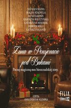 Okładka - Zima w Pensjonacie pod Bukami - Natasza Socha, Magda Stachula, Renata Kosin, Karolina Wilczyńska, Katarzyna Misiołek, Dorota Milli, Katarzyna Janus