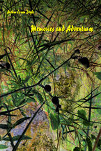 Okładka - Memories and Adventures - Arthur Conan Doyle