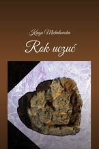Okładka - Rok uczuć - Kinga Michałowska