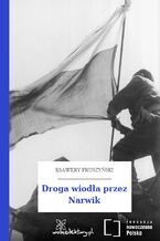 Okładka - Droga wiodła przez Narwik - Ksawery Pruszyński