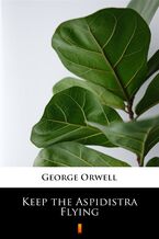 Okładka - Keep the Aspidistra Flying - George Orwell