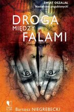 Okładka - Droga między falami - Bartosz Niegrebecki
