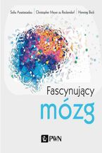 Okładka - Fascynujący mózg - Henning Beck, Sofia Anastasiadou, Christopher Meyer Zu Reckendorf