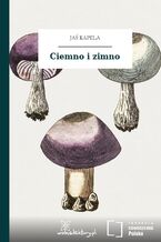 Okładka - Ciemno i zimno - Jaś Kapela