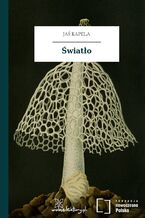 Światło