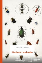 Okładka - Studnia i wahadło - Edgar Allan Poe