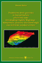 Okładka - Przystropowa strefa gazonośna w utworach karbonu południowej części Górnośląskiego Zagłębia Węglowego - występowanie, parametry zbiornikowe węgla oraz możliwości pozyskania metanu - Sławomir Kędzior