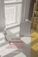 Okładka - Rozdroże. Literatura polska w kręgu litewskiego odrodzenia narodowego - Beata Kalęba