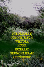 Okładka - Wybór poezyj pomniejszych Wiktora Hugo - Wiktor Hugo