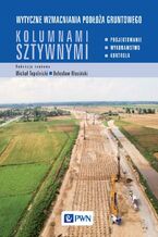 Okładka - Wytyczne wzmacniania podłoża gruntowego kolumnami sztywnymi - Michał Topolnicki, Bolesław Kłosiński