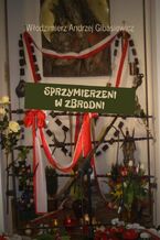 Okładka - Sprzymierzeni w zbrodni - Włodzimierz Gibasiewicz