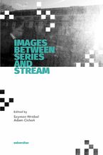 Okładka - Images Between Series and Stream - Adam Cichoń, Szymon Wróbel