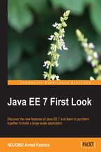 Okładka - Java EE 7 First Look. Discover the new features of Java EE 7 and learn to put them together to build a large-scale application - Armel Fabrice NDJOBO