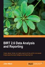 Okładka - BIRT 2.6 Data Analysis and Reporting. Create, Design, Format, and Deploy Reports with the world's most popular Eclipse-based Business Intelligence and Reporting Tool - John Ward