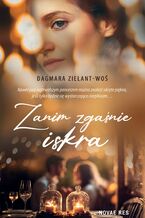 Okładka - Zanim zgaśnie iskra - Dagmara Zielant-Woś
