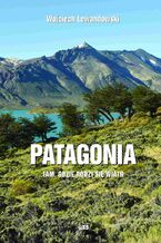 Okładka - Patagonia. Tam gdzie rodzi się wiatr - Wojciech Lewandowski