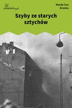 Okładka - Szyby ze starych sztychów - Wanda Ewa Brzeska