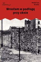 Okładka - Wrosłam w podłogę przy oknie - Wanda Ewa Brzeska