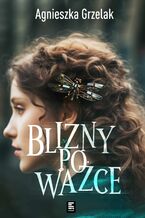 Okładka - Blizny po ważce - Agnieszka Grzelak