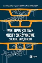 Okładka - Wieloprzęsłowe mosty skrzynkowe z betonu sprężonego - Jan Biliszczuk, Krzysztof Sadowski, Marco Teichgraeber