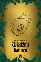 Okładka - Wiedźmi kamień - Jagna Rolska