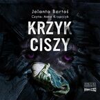 Krzyk ciszy