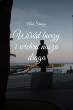 Okładka - Wśród burzy i wichru nasza droga - Alek Skarga