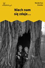 Okładka - Niech nam się zdaje - Wanda Ewa Brzeska