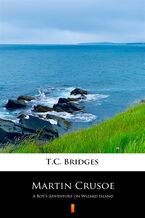 Okładka - Martin Crusoe. A Boys Adventure on Wizard Island - T.C. Bridges