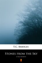 Okładka - Stones from the Sky. A Tale for Boys - T.C. Bridges