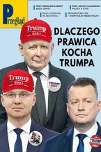Okładka - Przegląd. 19 - Jerzy Domański, Paweł Dybicz, Robert Walenciak, Roman Kurkiewicz, Wojciech Kuczok, Agnieszka Wolny-Hamkało, Marcin Ogdowski, Marek Czarkowski, Bohdan Piętka, Mateusz Mazzini, Bronisław Łagowski, Andrzej Sikorski, Andrzej Werblan, Jakub Dymek, Kornel Wawrzyniak, Jan Widacki, Andrzej Walicki