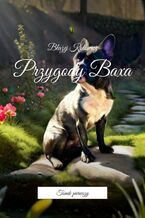 Okładka - Przygody Baxa - Błażej Kotowicz