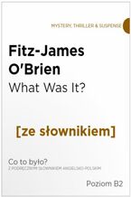 Okładka - What Was It z podręcznym słownikiem angielsko-polskim. Poziom B2 - Fitz-James O'Brien