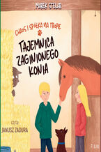 Okładka - Chaos i spółka (Tom 2). Chaos i spółka na tropie. Tajemnica zaginionego konia - Marek Stelar