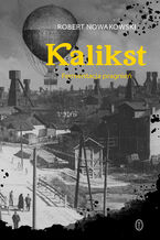 Okładka - Kalikst. Fermentacja pragnień - Robert Nowakowski