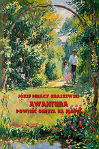 Okładka - Awantura. Powieść osnuta na plotce - Józef Ignacy Kraszewski