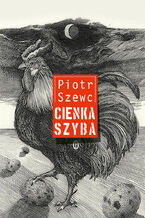 Okładka - Cienka szyba - Piotr Szewc